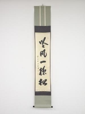 前大徳藤井誡堂筆　「吟風一様松」一行書　肉筆紙本掛軸（共箱）